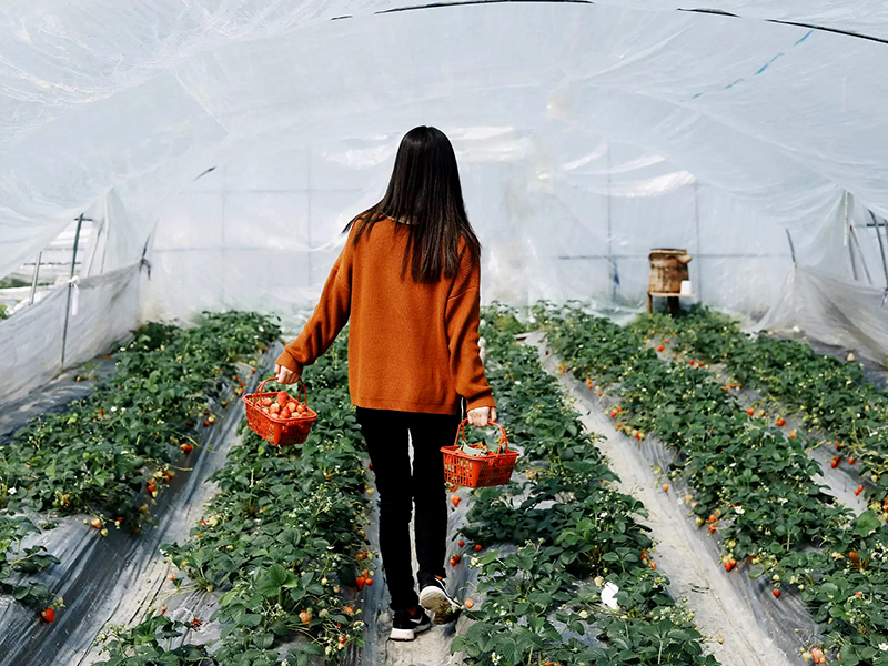 horticultrist-2