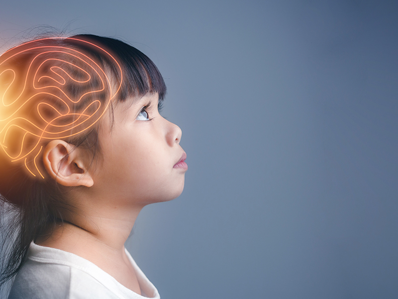 Brain,Nervous,System,Concept.,Science,Is,Something,That,Children,Should