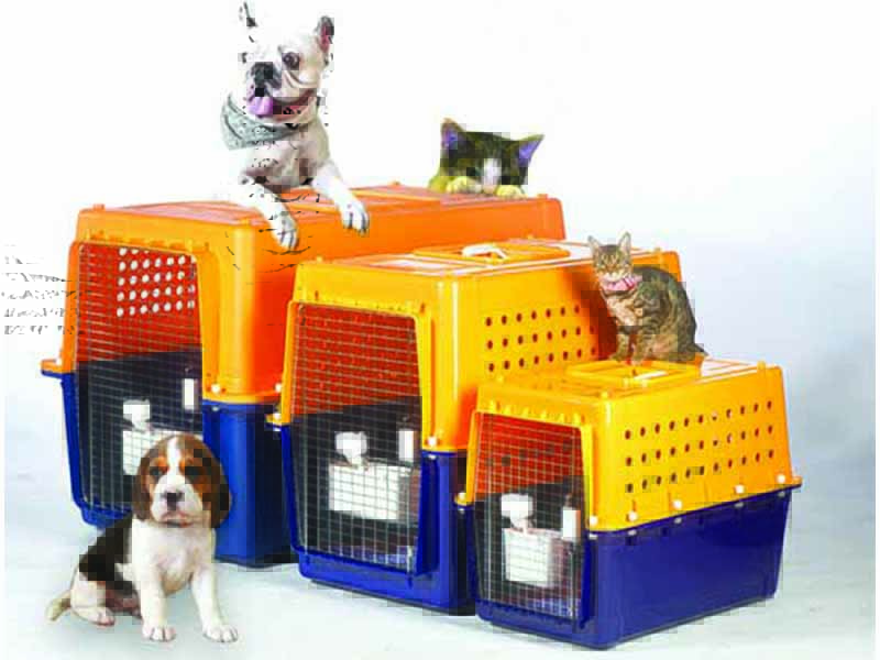 Pet relocation copy