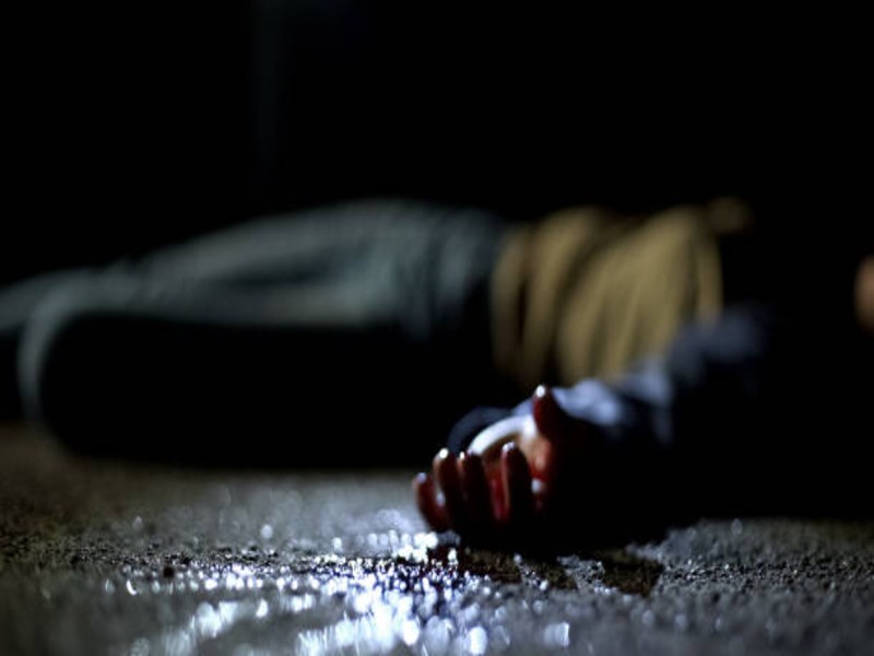 Delhi University student held for killing female friend; burnt body found
