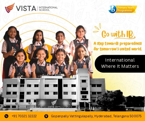 Vista International 