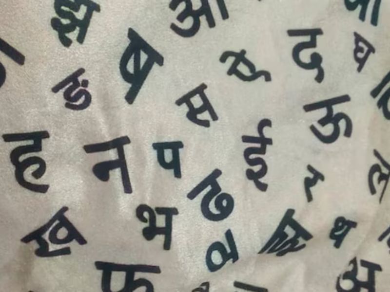 Marathi literary body opposes Hindi as third language in primary schools
