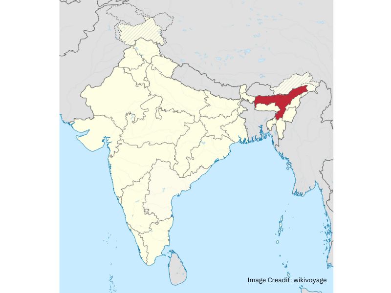 Governor Assam can become a higher education hub