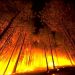 10 Worst wildfires our world has ever witnessed